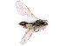  ( - BC-ZSM-HYM-24108-C01)  @13 [ ] CreativeCommons - Attribution Non-Commercial Share-Alike (2016) SNSB, Staatliche Naturwissenschaftliche Sammlungen Bayerns ZSM (SNSB, Zoologische Staatssammlung Muenchen)