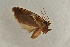  ( - BC ZSM Lep 100151)  @12 [ ] CreativeCommons - Attribution Non-Commercial Share-Alike (2015) Unspecified SNSB, Zoologische Staatssammlung Muenchen