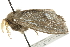  ( - BIOUG00797-B04)  @12 [ ] CreativeCommons - Attribution (2011) CBG Photography Group Centre for Biodiversity Genomics