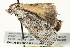  ( - BIOUG00797-C06)  @12 [ ] CreativeCommons - Attribution (2011) CBG Photography Group Centre for Biodiversity Genomics
