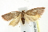  ( - BIOUG00798-D09)  @13 [ ] CreativeCommons - Attribution (2011) CBG Photography Group Centre for Biodiversity Genomics
