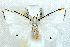  ( - BIOUG00798-G05)  @13 [ ] CreativeCommons - Attribution (2011) CBG Photography Group Centre for Biodiversity Genomics