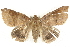  ( - BIOUG00796-A04)  @14 [ ] CreativeCommons - Attribution (2011) CBG Photography Group Centre for Biodiversity Genomics