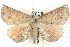  ( - BIOUG00796-B01)  @13 [ ] CreativeCommons - Attribution (2011) CBG Photography Group Centre for Biodiversity Genomics