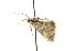  ( - K290509)  @12 [ ] CreativeCommons - Attribution Non-Commercial Share-Alike (2011) Andrew Mitchell Australian Museum