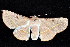  ( - K287992)  @14 [ ] CreativeCommons - Attribution Non-Commercial Share-Alike (2011) Andrew Mitchell Australian Museum