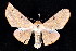  ( - K292642)  @14 [ ] CreativeCommons - Attribution Non-Commercial Share-Alike (2011) Andrew Mitchell Australian Museum