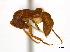  ( - CCDB-22212-C07)  @13 [ ] CreativeCommons - Attribution (2011) M. Alex Smith Centre for Biodiversity Genomics