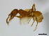  ( - CCDB-22213-A04)  @12 [ ] CreativeCommons - Attribution (2011) M. Alex Smith Centre for Biodiversity Genomics