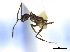  ( - CCDB-22213-A05)  @12 [ ] CreativeCommons - Attribution (2011) M. Alex Smith Centre for Biodiversity Genomics