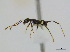  ( - CCDB-22213-F07)  @12 [ ] CreativeCommons - Attribution (2011) M. Alex Smith Centre for Biodiversity Genomics