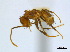  ( - CCDB-22213-F10)  @13 [ ] CreativeCommons - Attribution (2011) M. Alex Smith Centre for Biodiversity Genomics