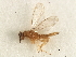  ( - 11ANIC-17486-LEG)  @11 [ ] CreativeCommons - Attribution (2011) ANIC/CBG Photography Group Centre for Biodiversity Genomics