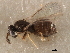  ( - 11ANIC-17505-LEG)  @11 [ ] CreativeCommons - Attribution (2011) ANIC/CBG Photography Group Centre for Biodiversity Genomics