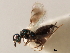  ( - 11ANIC-17507)  @11 [ ] CreativeCommons - Attribution (2011) ANIC/CBG Photography Group Centre for Biodiversity Genomics