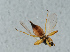  ( - NHMUK014421605)  @11 [ ] Unspecified (default): All Rights Reserved  Ben W Price Natural History Museum, London