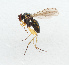  ( - NHMUK014421606)  @11 [ ] Unspecified (default): All Rights Reserved  Ben W Price Natural History Museum, London