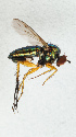  ( - NHMUK014421615)  @11 [ ] Unspecified (default): All Rights Reserved  Ben W Price Natural History Museum, London