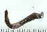  ( - 08BBANN-068)  @14 [ ] CreativeCommons - Attribution (2009) Unspecified Centre for Biodiversity Genomics