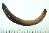  ( - 08BBANN-074)  @14 [ ] CreativeCommons - Attribution (2009) Unspecified Centre for Biodiversity Genomics