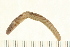  ( - 08BBANN-008)  @14 [ ] CreativeCommons - Attribution (2008) Unspecified Centre for Biodiversity Genomics