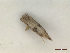  ( - CLV47951)  @11 [ ] CreativeCommons  Attribution Non-Commercial Share-Alike (2023) Carlos Lopez Vaamonde Institut National de la Recherche Agronomique, Zoologie Forestiere