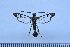  ( - CLV48213)  @11 [ ] CreativeCommons  Attribution Non-Commercial Share-Alike (2023) Carlos Lopez Vaamonde Institut National de la Recherche Agronomique, Zoologie Forestiere