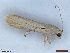  ( - CLV48442)  @11 [ ] CreativeCommons  Attribution Non-Commercial Share-Alike (2024) Carlos Lopez Vaamonde Institut National de la Recherche Agronomique, Zoologie Forestiere