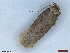  ( - CLV48460)  @11 [ ] CreativeCommons  Attribution Non-Commercial Share-Alike (2024) Carlos Lopez Vaamonde Institut National de la Recherche Agronomique, Zoologie Forestiere