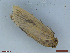  ( - CLV48474)  @11 [ ] CreativeCommons  Attribution Non-Commercial Share-Alike (2024) Carlos Lopez Vaamonde Institut National de la Recherche Agronomique, Zoologie Forestiere