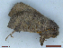  ( - CLV48503)  @11 [ ] CreativeCommons  Attribution Non-Commercial Share-Alike (2024) Carlos Lopez Vaamonde Institut National de la Recherche Agronomique, Zoologie Forestiere