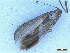  ( - CLV49997)  @11 [ ] CreativeCommons  Attribution Non-Commercial Share-Alike (2025) Carlos Lopez Vaamonde Institut National de la Recherche Agronomique, Zoologie Forestiere