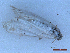  ( - CLV50050)  @11 [ ] CreativeCommons  Attribution Non-Commercial Share-Alike (2025) Carlos Lopez Vaamonde Institut National de la Recherche Agronomique, Zoologie Forestiere