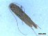  ( - CLV50057)  @11 [ ] CreativeCommons  Attribution Non-Commercial Share-Alike (2025) Carlos Lopez Vaamonde Institut National de la Recherche Agronomique, Zoologie Forestiere