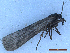  ( - CLV50059)  @11 [ ] CreativeCommons  Attribution Non-Commercial Share-Alike (2025) Carlos Lopez Vaamonde Institut National de la Recherche Agronomique, Zoologie Forestiere