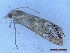  ( - CLV50080)  @11 [ ] CreativeCommons  Attribution Non-Commercial Share-Alike (2025) Carlos Lopez Vaamonde Institut National de la Recherche Agronomique, Zoologie Forestiere