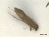 ( - CLV47965)  @11 [ ] CreativeCommons  Attribution Non-Commercial Share-Alike (2023) Carlos Lopez Vaamonde Institut National de la Recherche Agronomique, Zoologie Forestiere