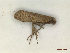  ( - CLV47977)  @11 [ ] CreativeCommons  Attribution Non-Commercial Share-Alike (2023) Carlos Lopez Vaamonde Institut National de la Recherche Agronomique, Zoologie Forestiere