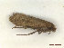  ( - CLV47980)  @11 [ ] CreativeCommons  Attribution Non-Commercial Share-Alike (2023) Carlos Lopez Vaamonde Institut National de la Recherche Agronomique, Zoologie Forestiere