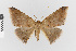  ( - Pe-Geo-3954)  @11 [ ] copyright (2024) Gunnar Brehm Friedrich-Schiller-University Jena