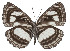  ( - ABRI-2016-1280)  @13 [ ] Unspecified (default): All Rights Reserved  Unspecified Unspecified