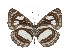  ( - ABRI-2016-1281)  @13 [ ] Unspecified (default): All Rights Reserved  Unspecified Unspecified