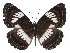  ( - ABRI-2016-1352)  @13 [ ] Unspecified (default): All Rights Reserved  Unspecified Unspecified