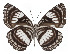  ( - ABRI-2016-1352)  @13 [ ] Unspecified (default): All Rights Reserved  Unspecified Unspecified
