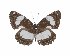  ( - IDR-A02604)  @11 [ ] by-nc-sa (2020) Ian Richardson Unspecified