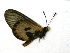  ( - IRIC-A1195)  @12 [ ] Unspecified (default): All Rights Reserved  Unspecified Unspecified
