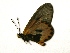  ( - IRIC-A1196)  @12 [ ] Unspecified (default): All Rights Reserved  Unspecified Unspecified