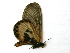  ( - IRIC-A1202)  @12 [ ] Unspecified (default): All Rights Reserved  Unspecified Unspecified