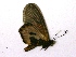  ( - IRIC-A1205)  @12 [ ] Unspecified (default): All Rights Reserved  Unspecified Unspecified