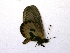  ( - IRIC-A1206)  @12 [ ] Unspecified (default): All Rights Reserved  Unspecified Unspecified